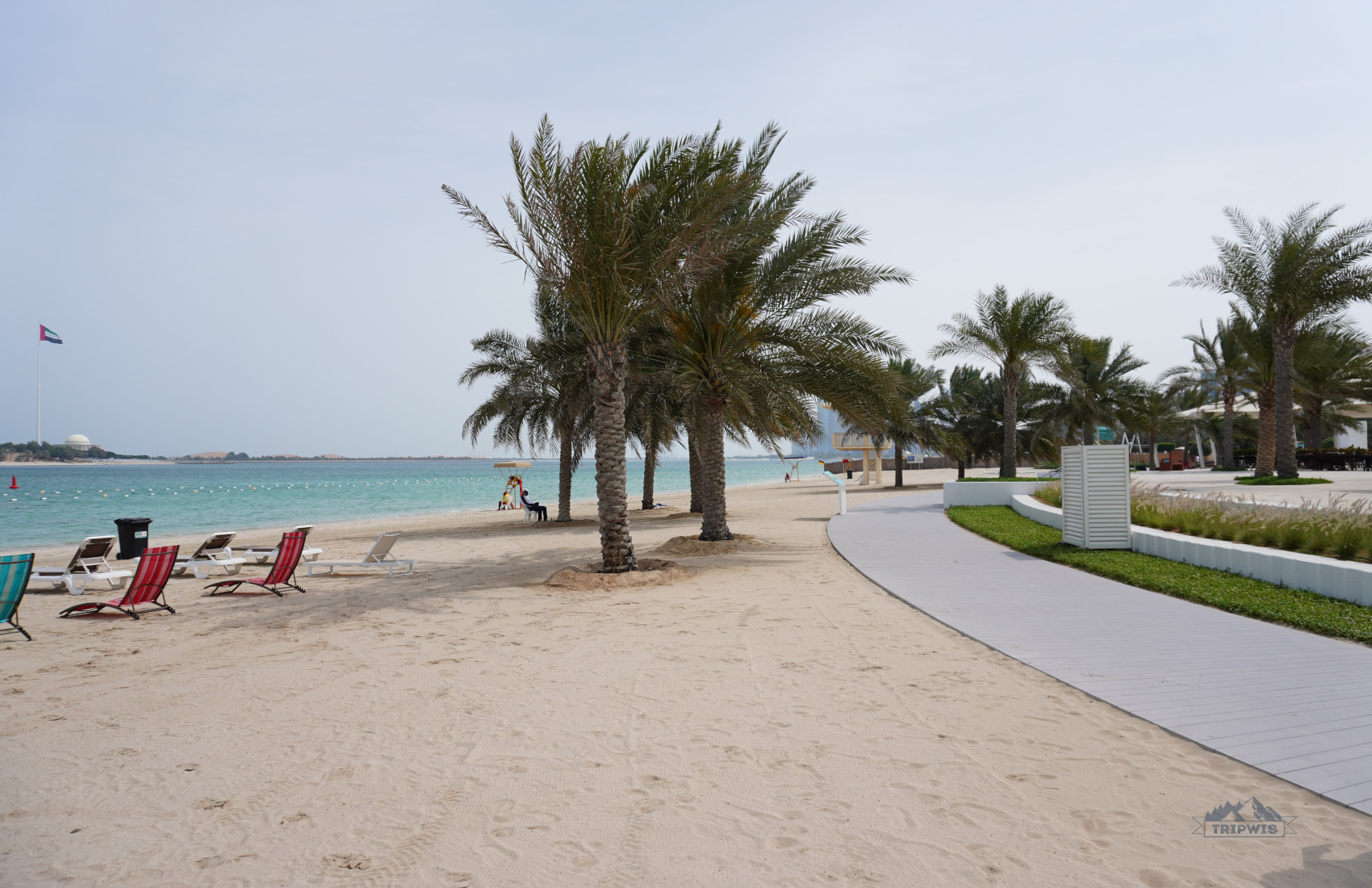 beach in the UAE