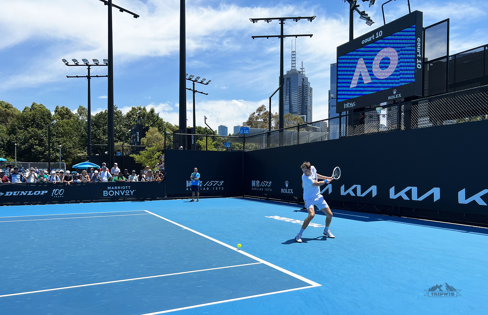 Daniil Medvedev practice session AO