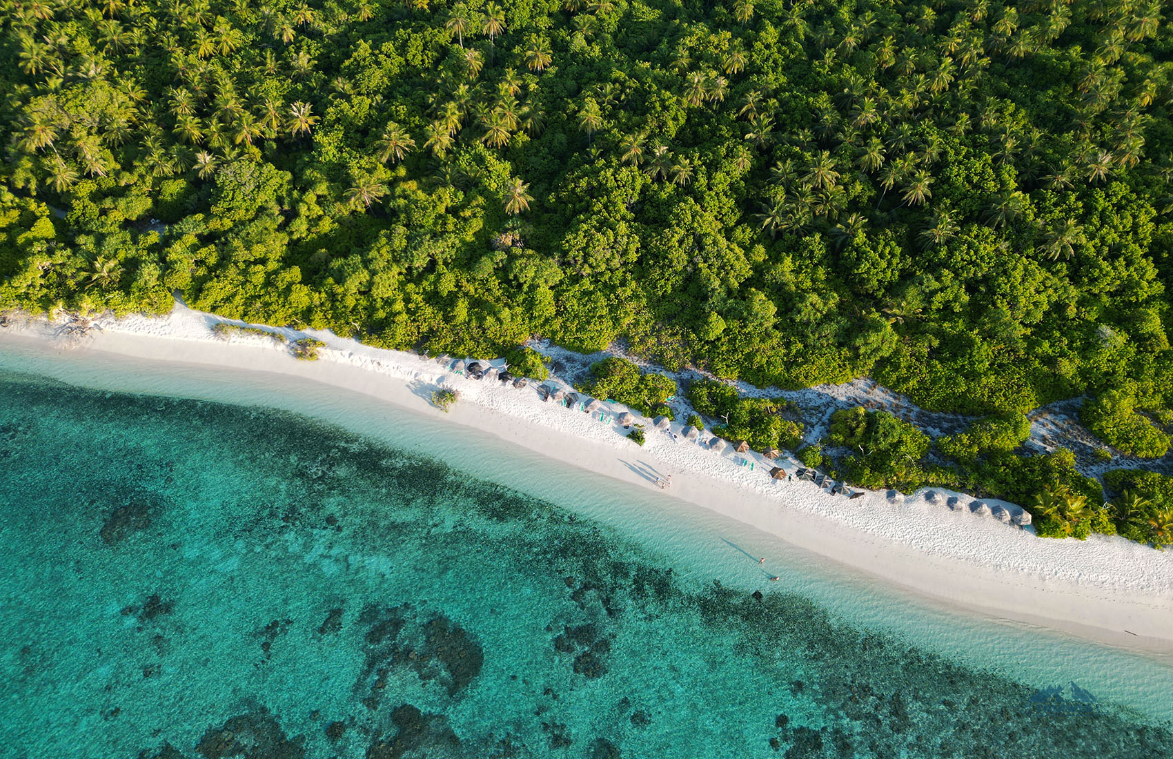 maldives island from above 2