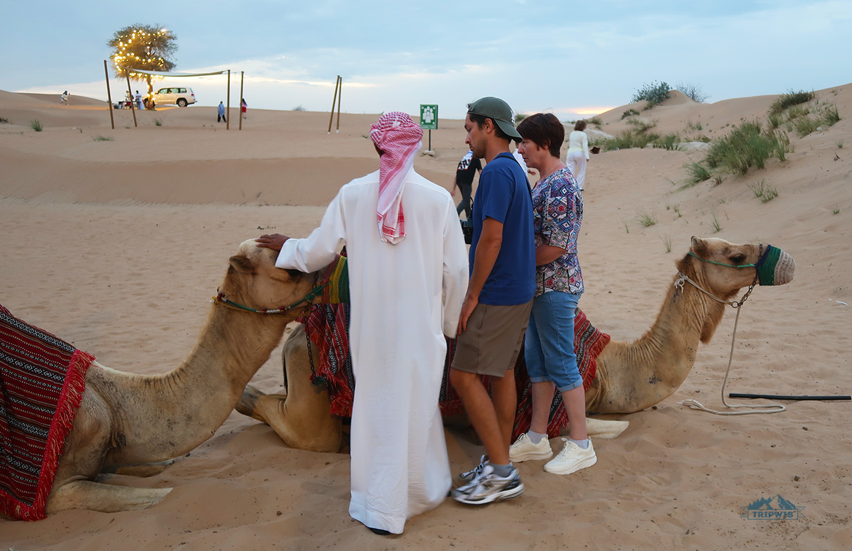 Bedouin-style camp Safari