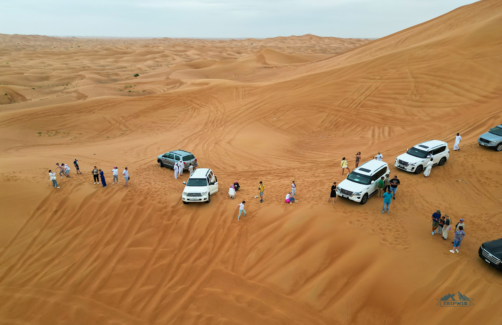 desert safari in Dubai