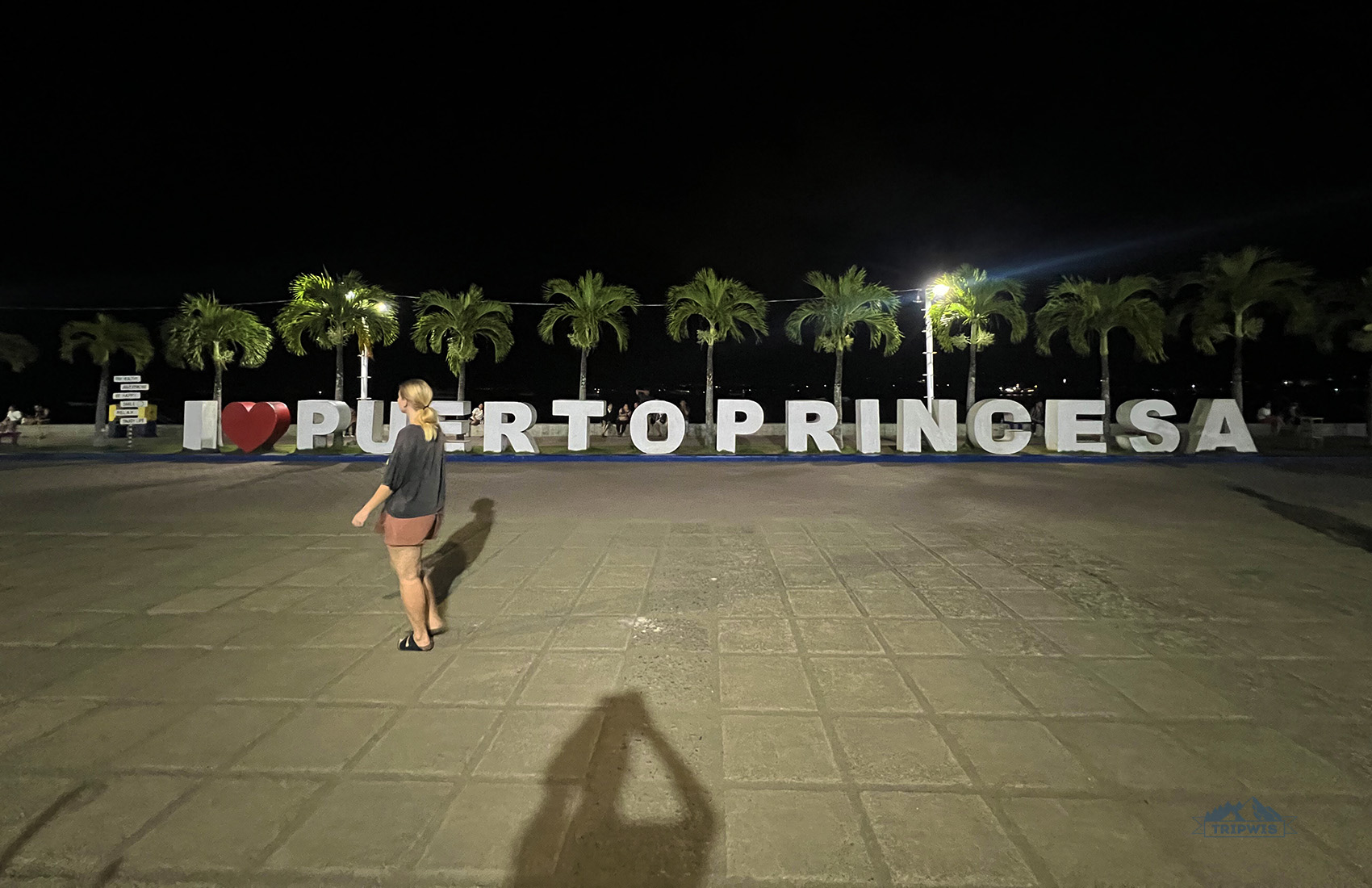 Puerto Princesa airport city at night