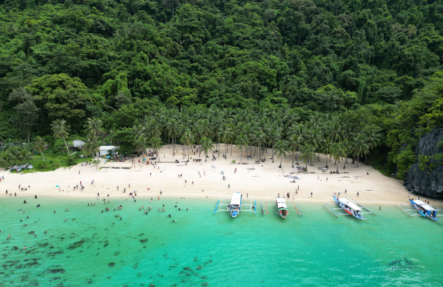 Beach in Palawan 1