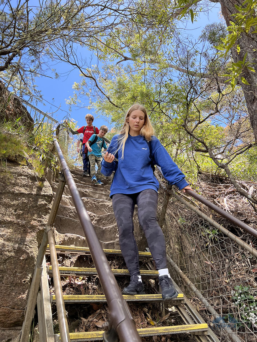 Blue Mountains National Park walk