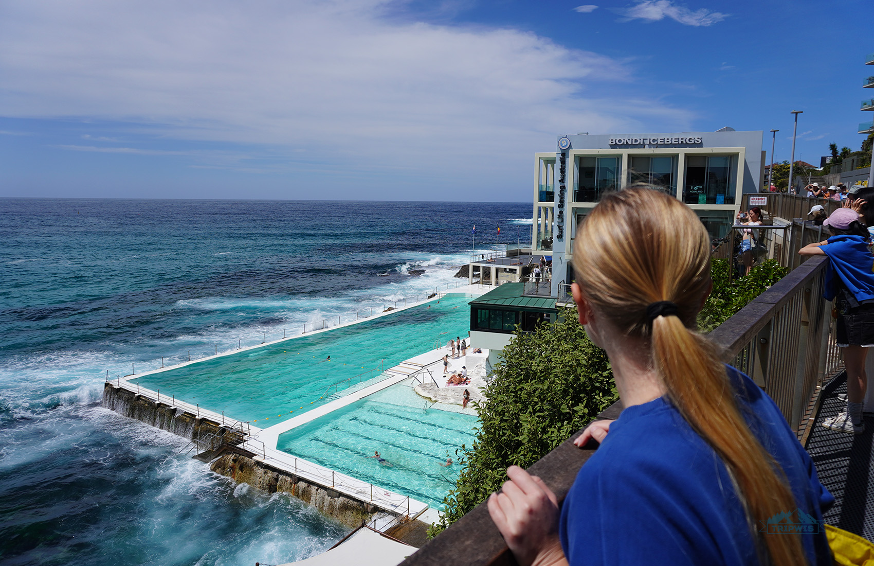 Bondi Icebergs POOL