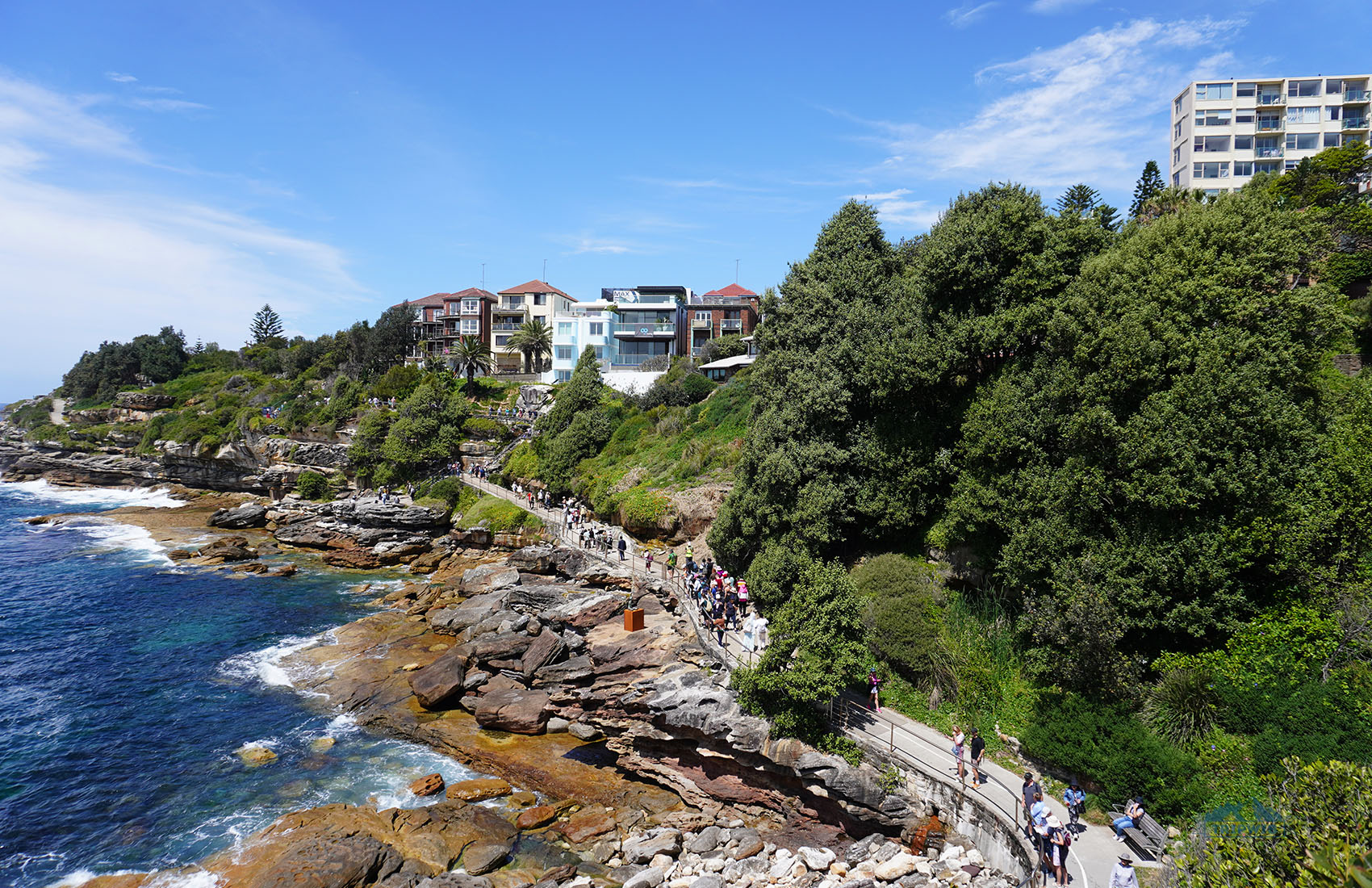 Bondi to Coogee Walk