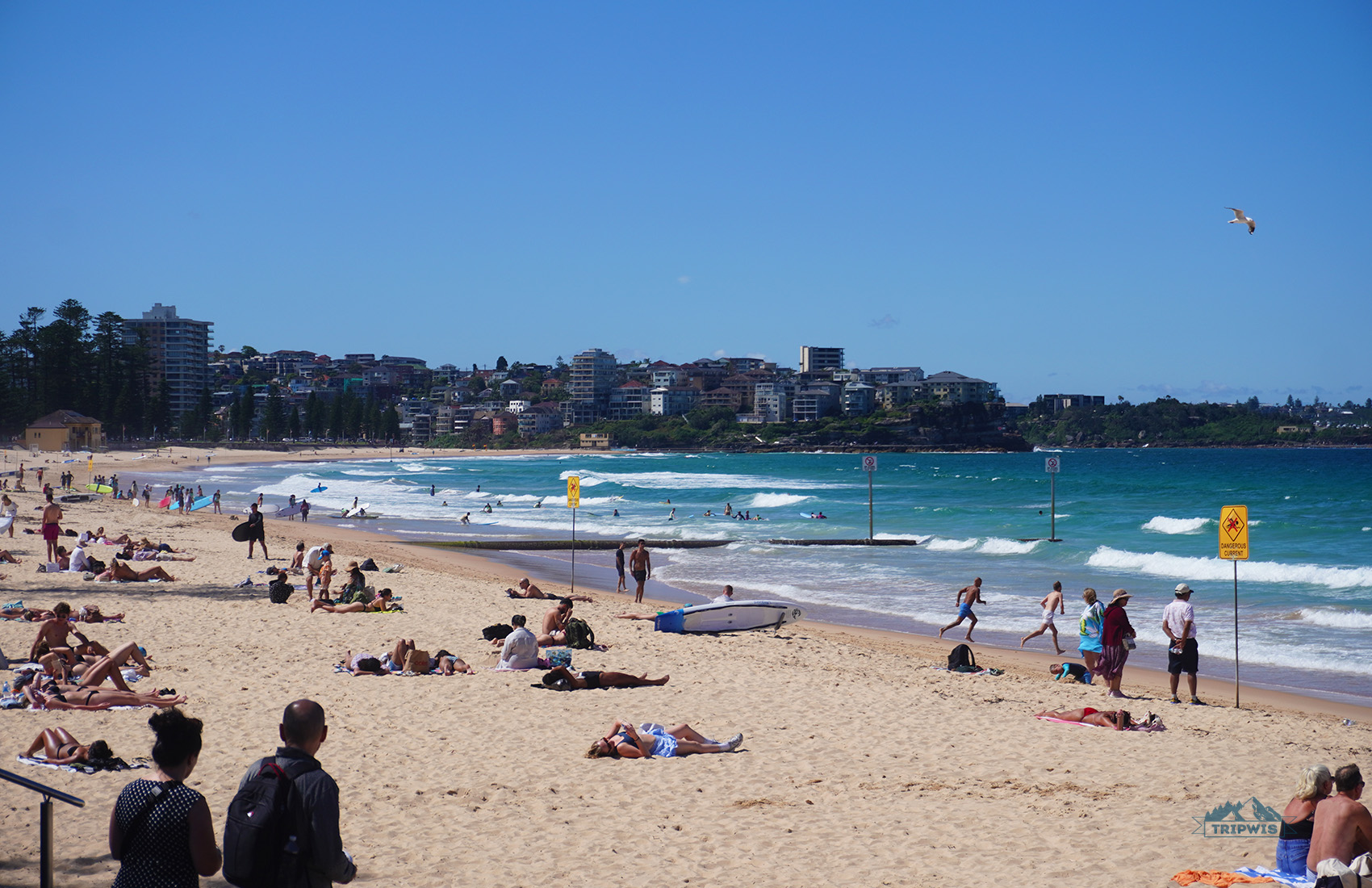 Manly Beach 2