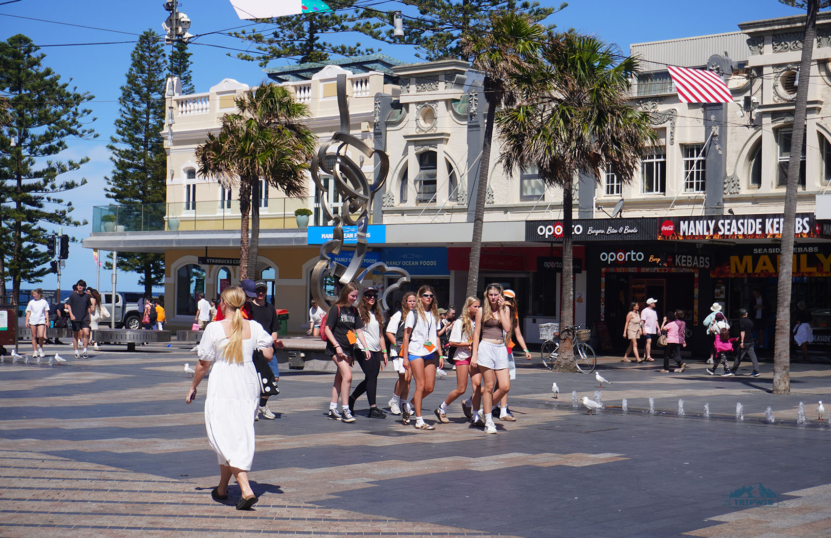 Manly Beach