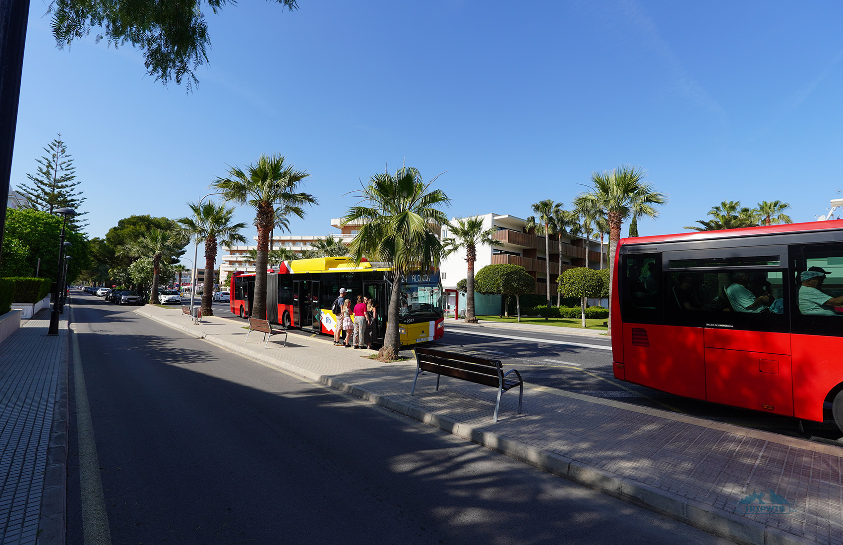 Public transport in Mallorca