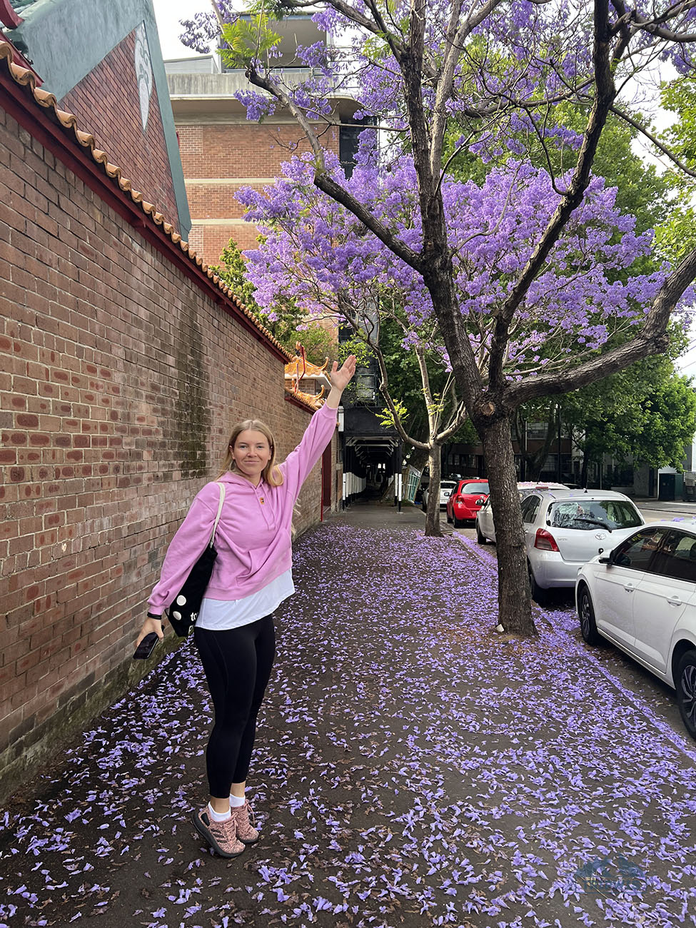 Spring in Sydney