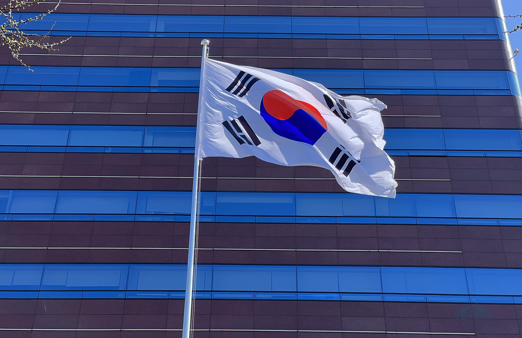 Flag of South Korea