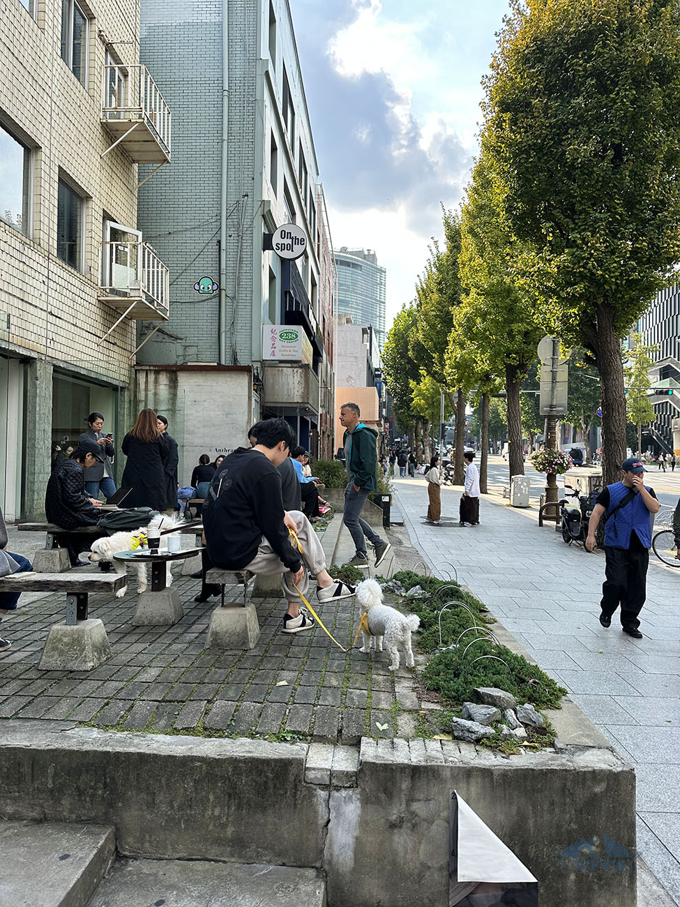 Itaewon and Anthracite Coffee