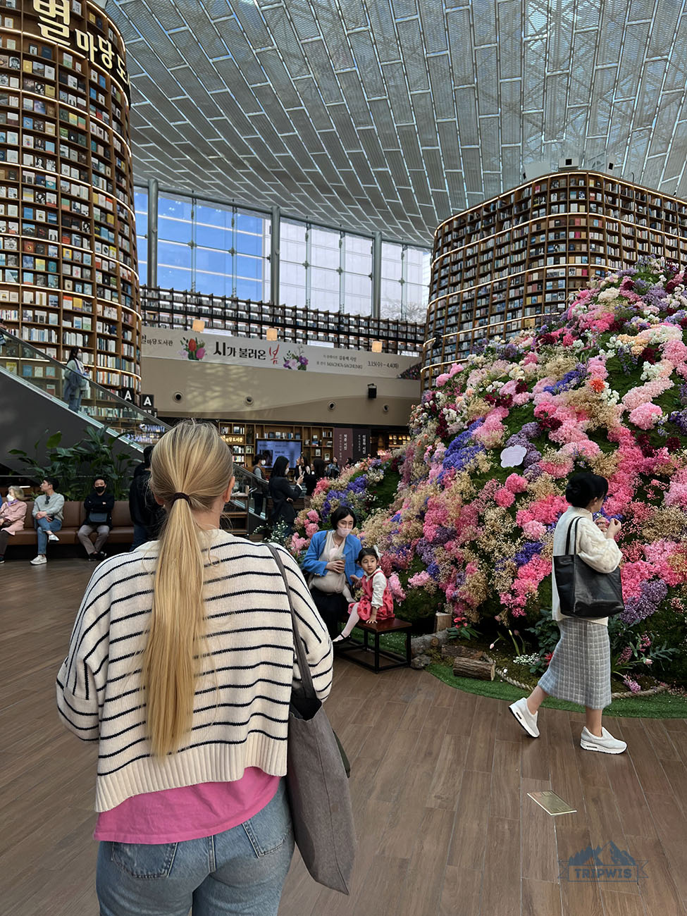 Starfield Library