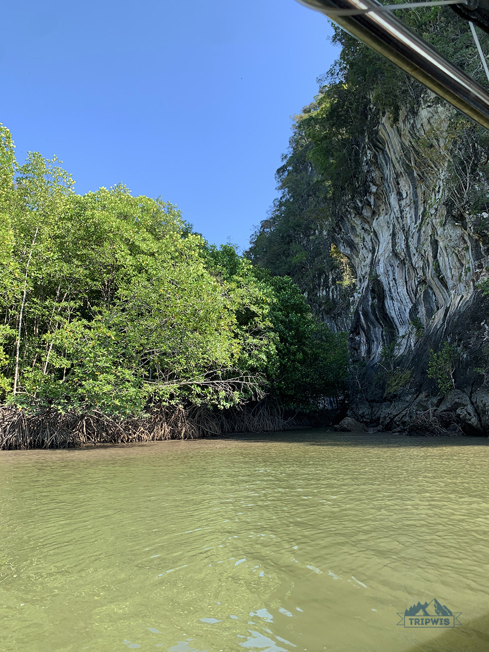 Kilim Geoforest 3