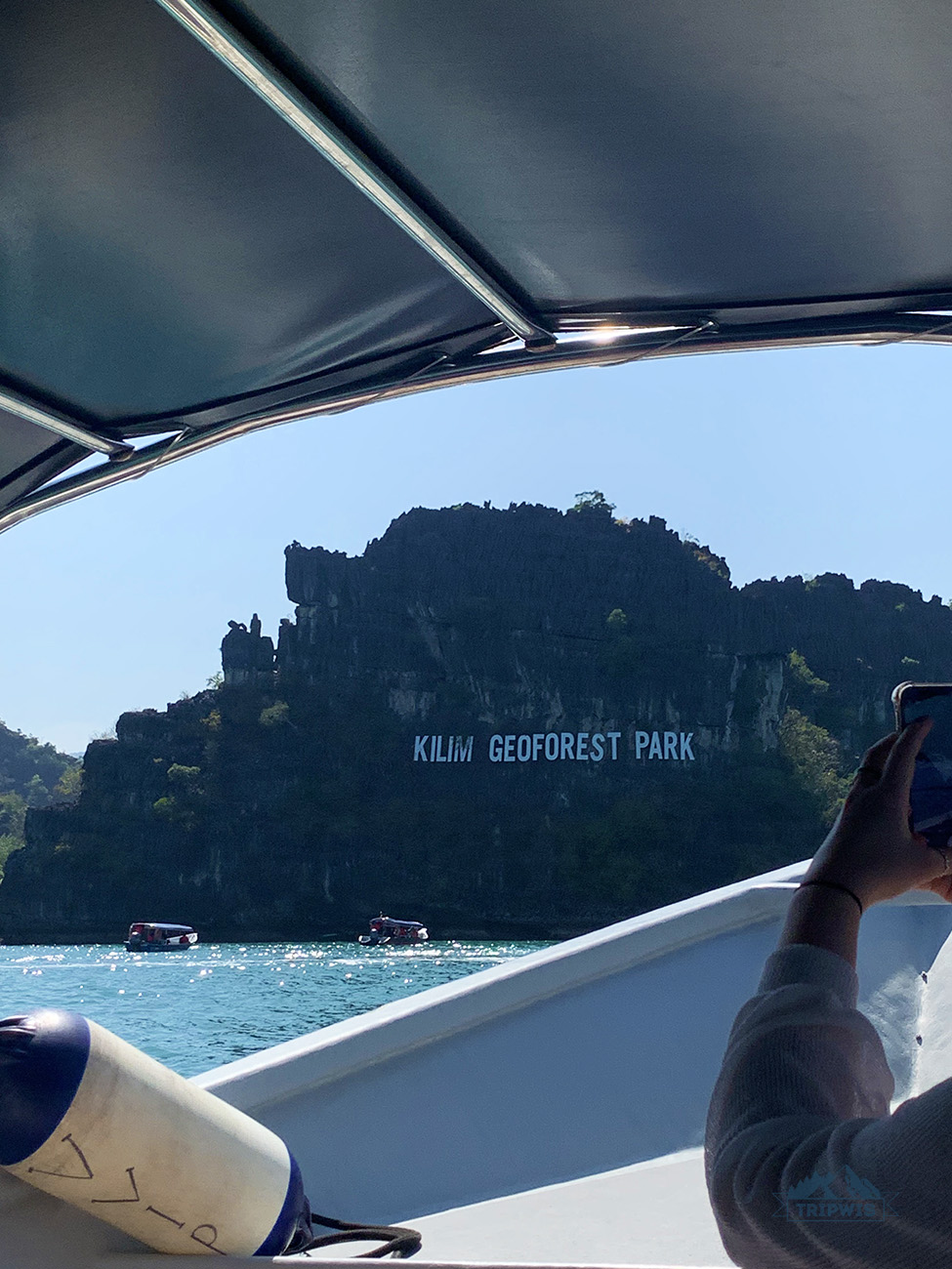 Kilim Geoforest 5