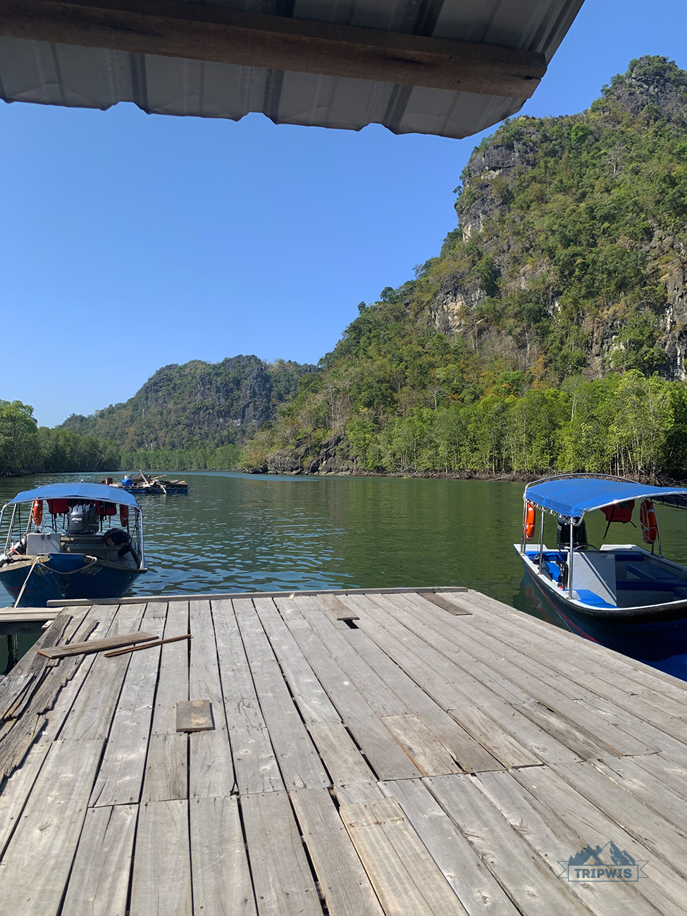 Kilim Geoforest