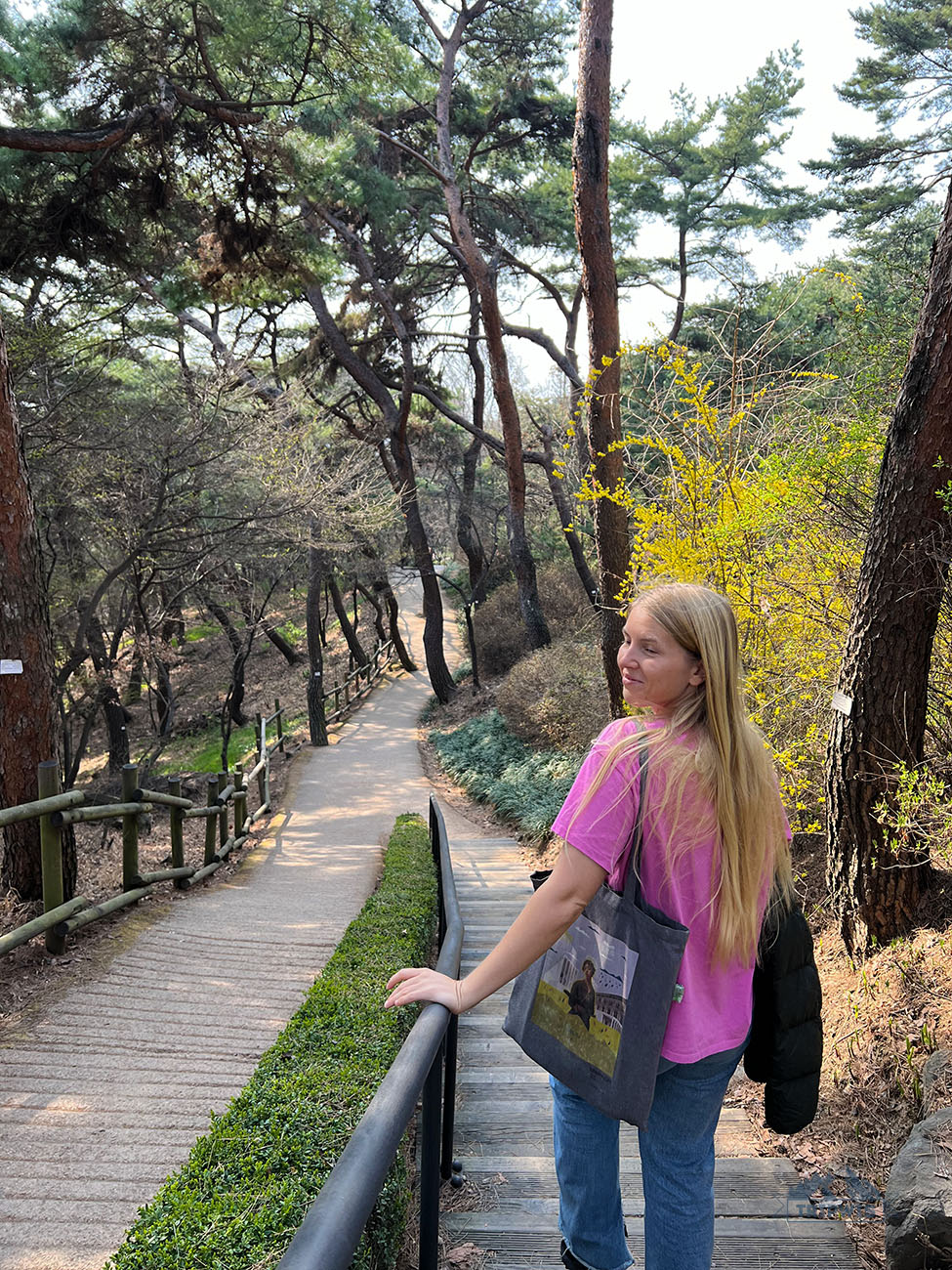 on our way back from Namsan Tower hike