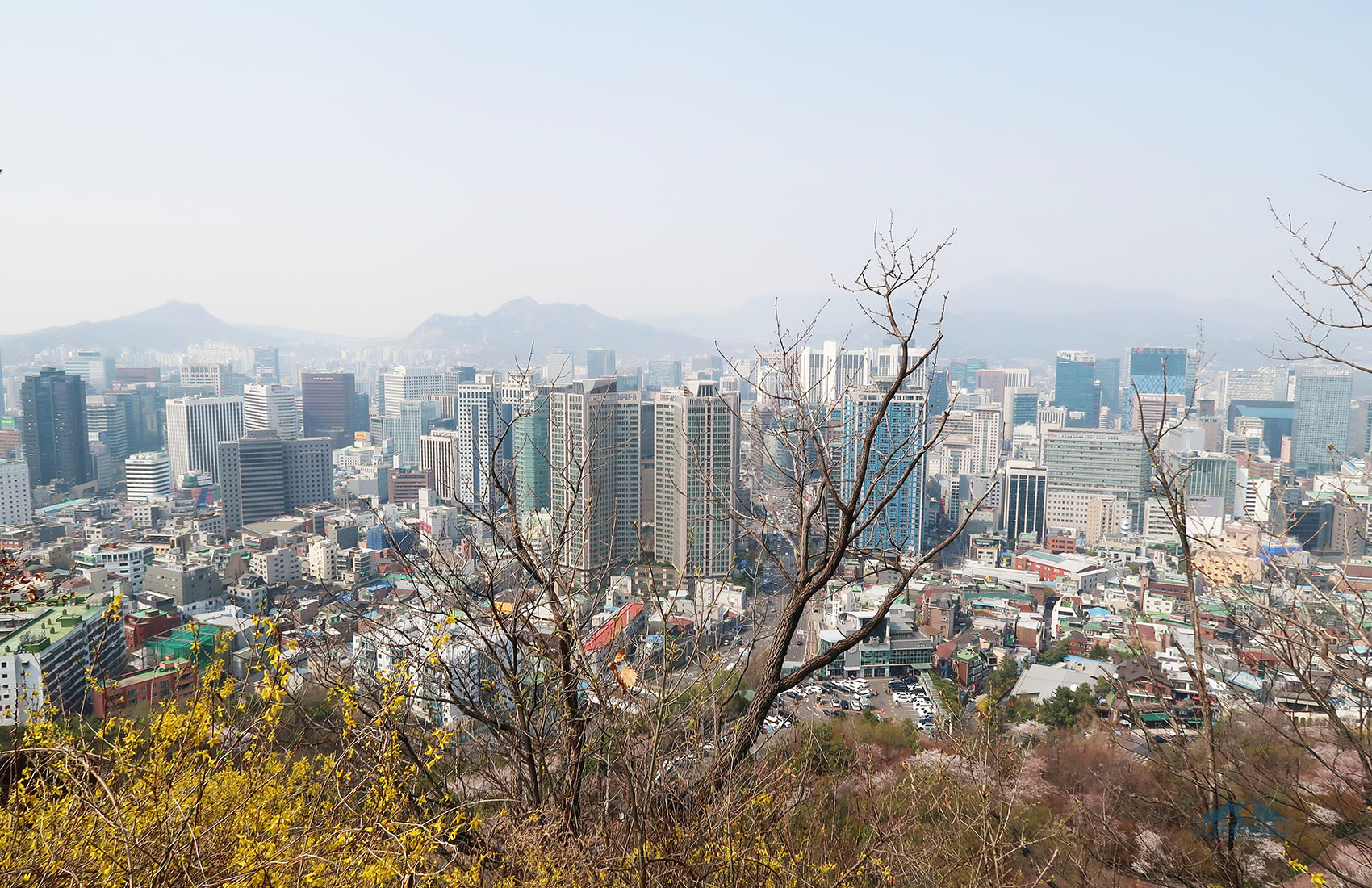 seoul tower viewpoint 3