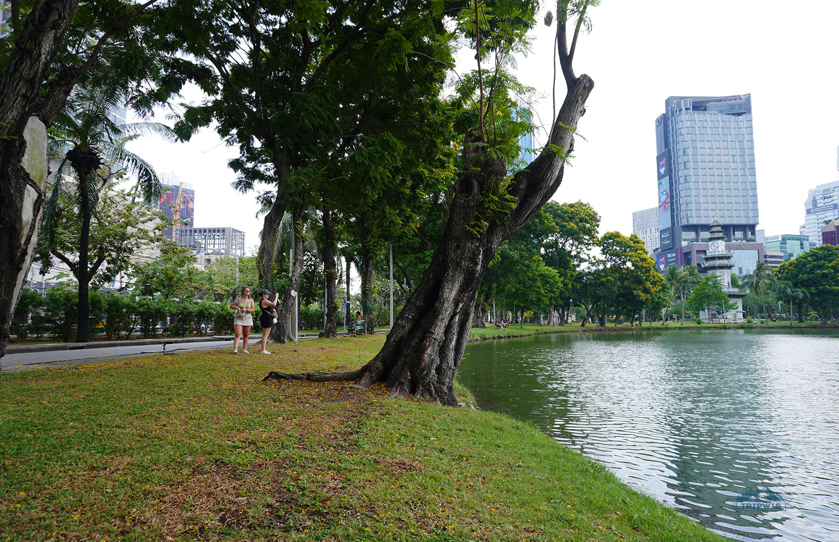 Lumpini Park