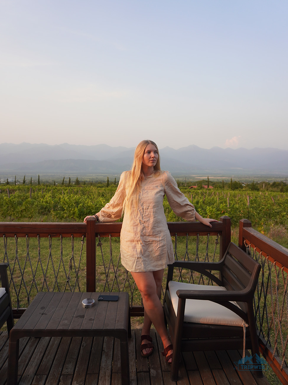 vineyards in Kakheti
