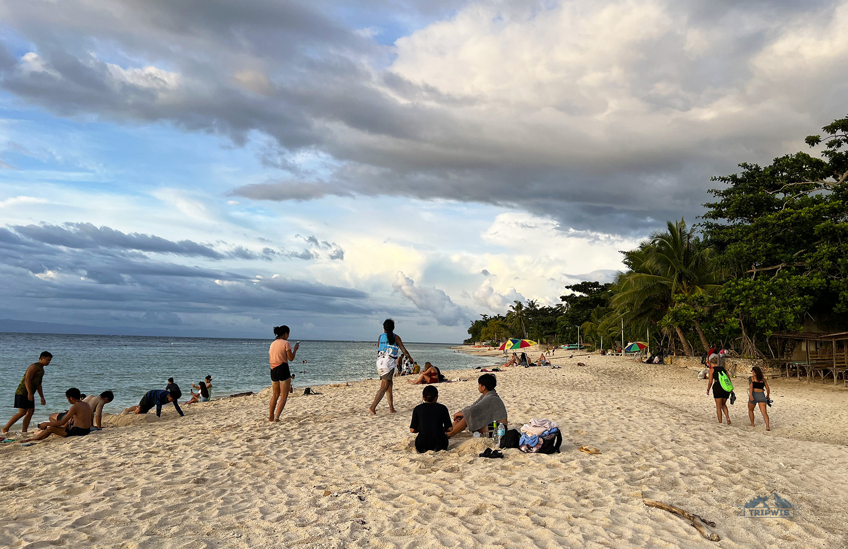 Beach in Moalboal
