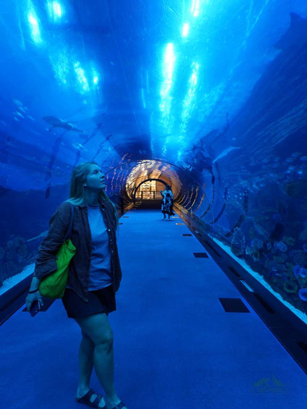 Dubai Aquarium and Underwater Zoo