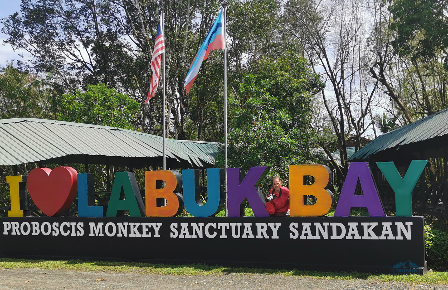 Labuk Bay Proboscis Monkey Sanctuary
