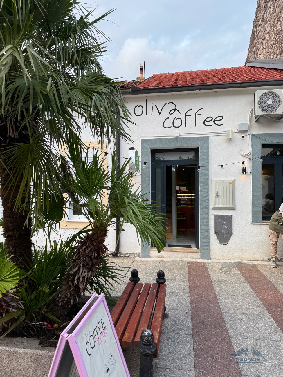 Oliva coffee