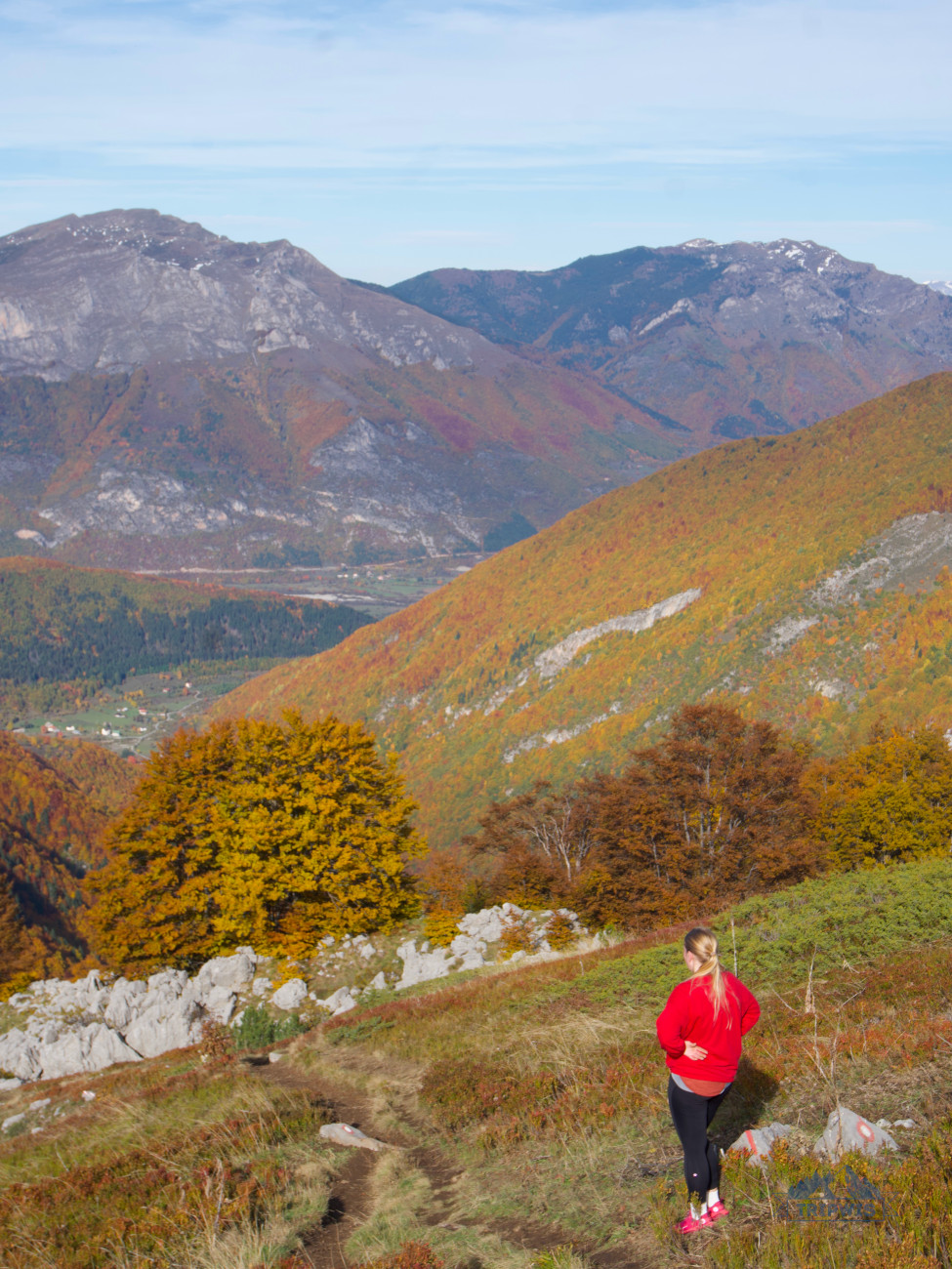Volusnica prokletije