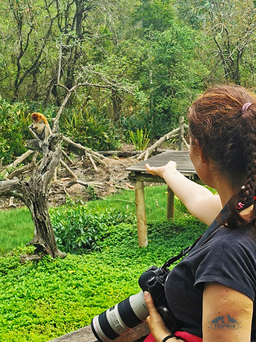 me with sunny monkey