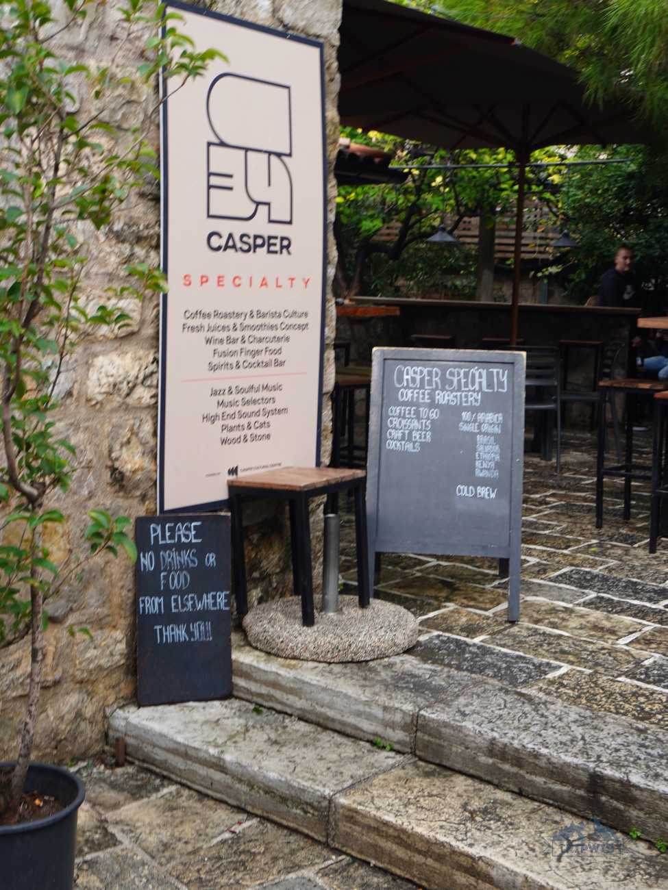 olive trees at Casper