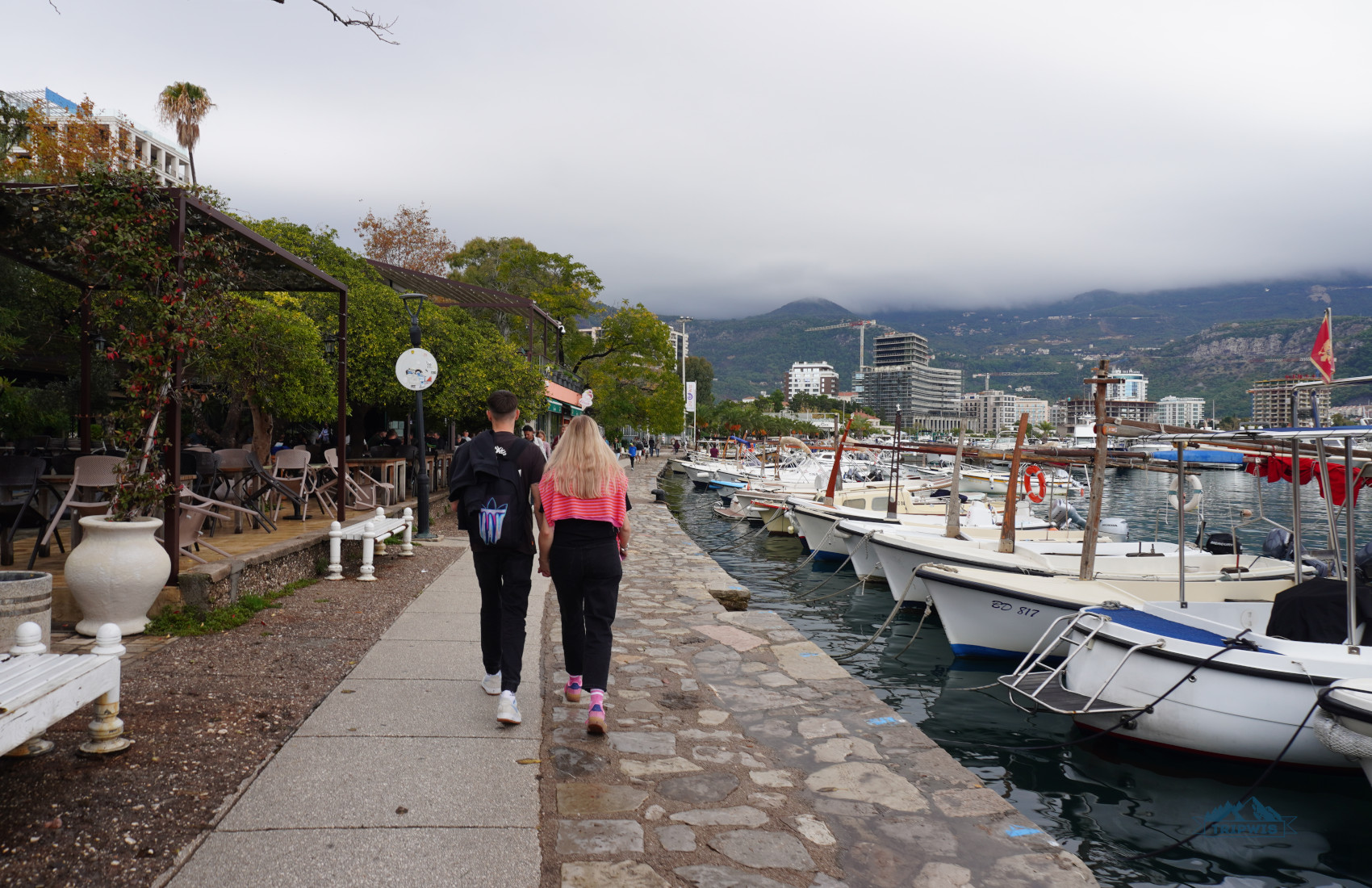yachts at the marina Budva