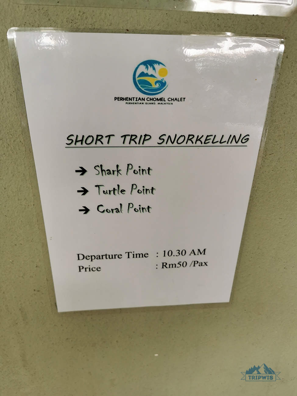 short trip snorkeling