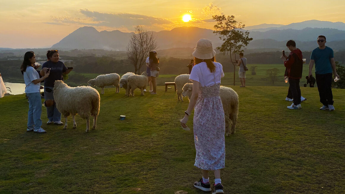 Our guide to Chiang Rai, Thailand: Things to do, accommodation, tips (2026)