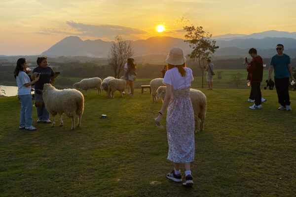 Our guide to Chiang Rai, Thailand: Things to do, accommodation, tips (2026)