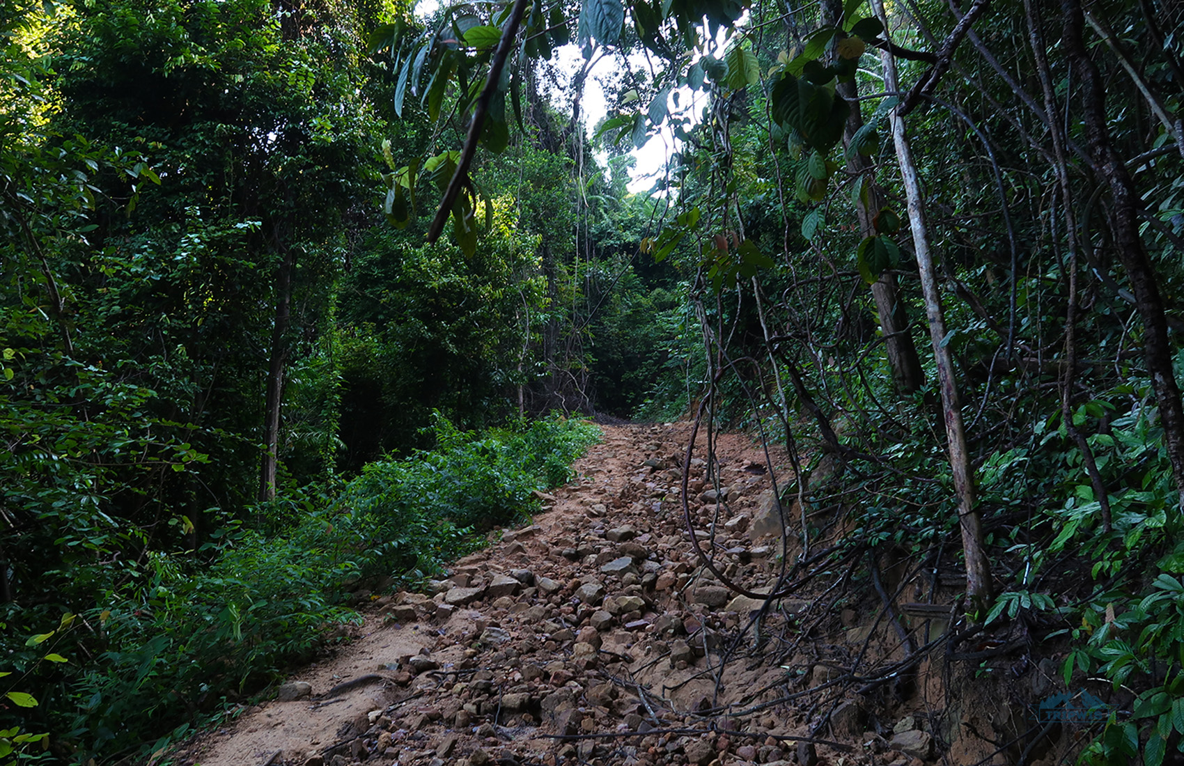 Dragon’s Crest Trail (Ngon Nak Nature Trail) 2