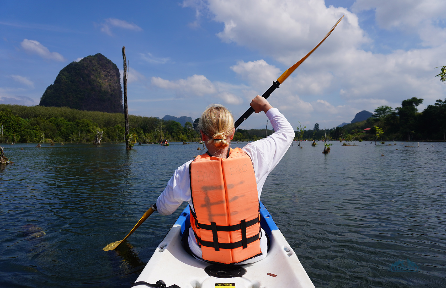 Kayak in Krabi mangroves
