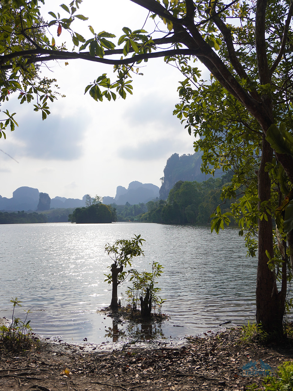 Nong Thale Lake (Mirror Lake) Krabi