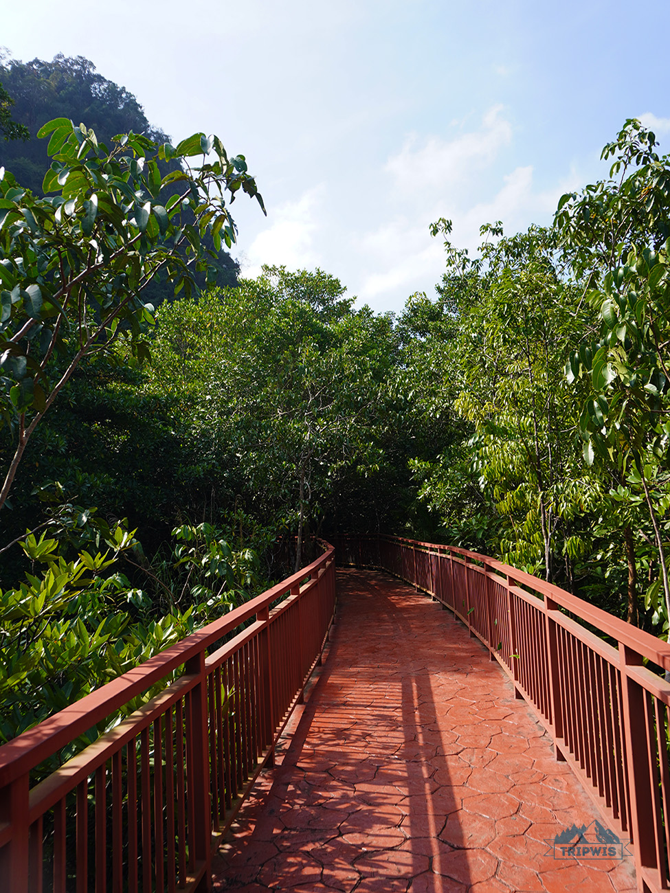Thapom Klong Song Nam Nature Trail