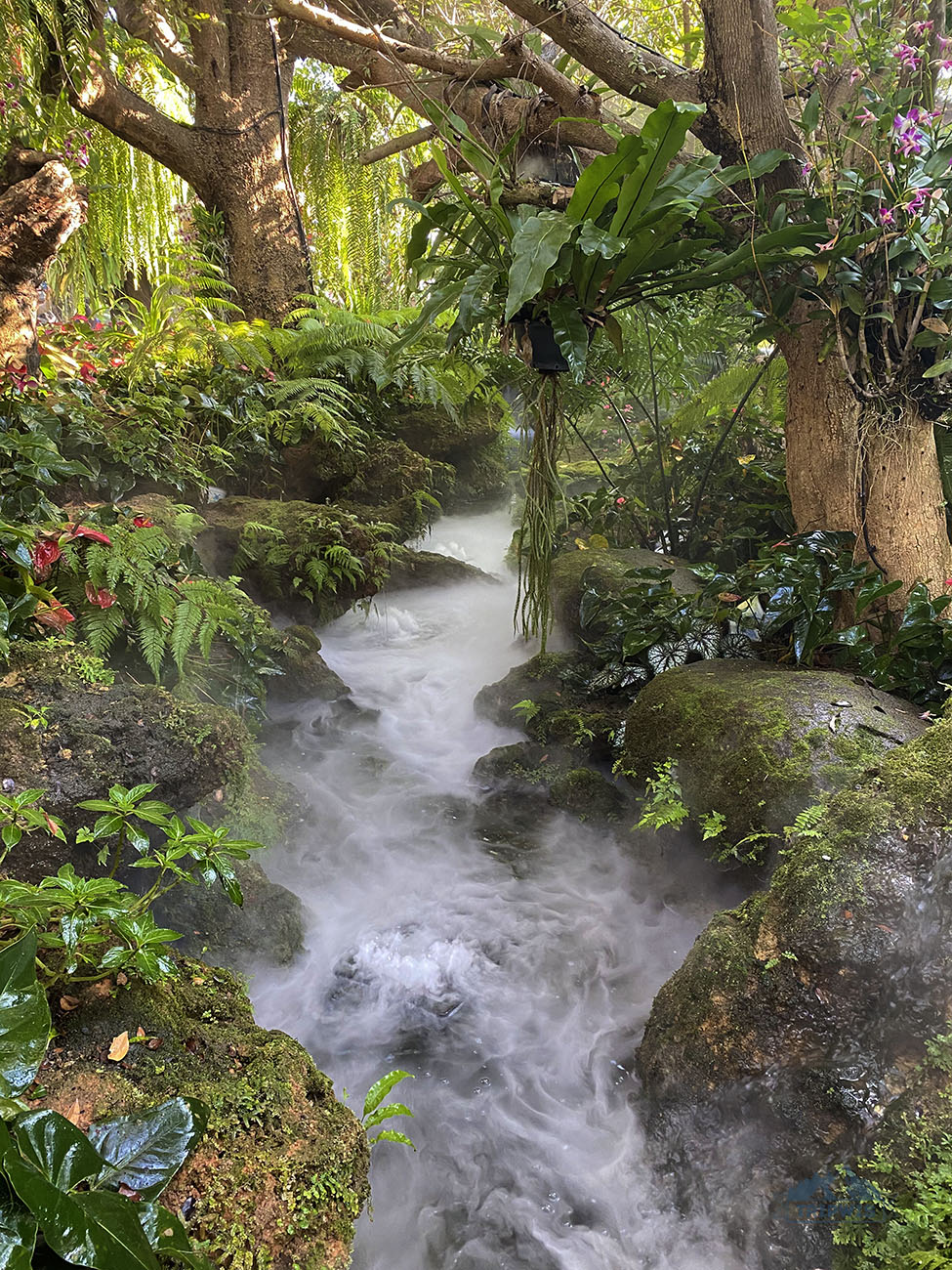 lalitta café chiang rai 2