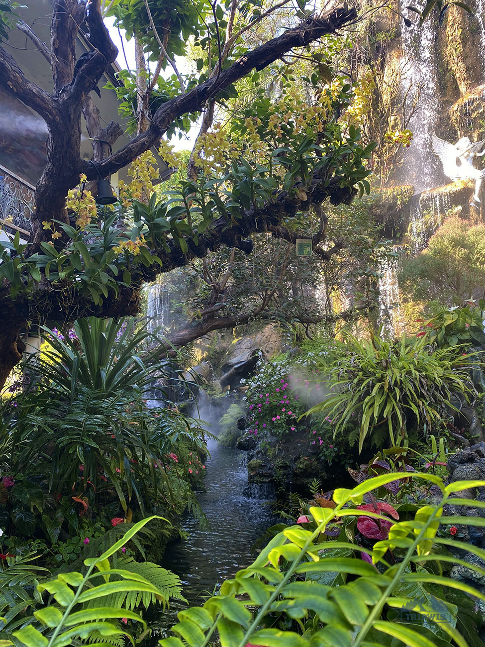 lalitta café chiang rai