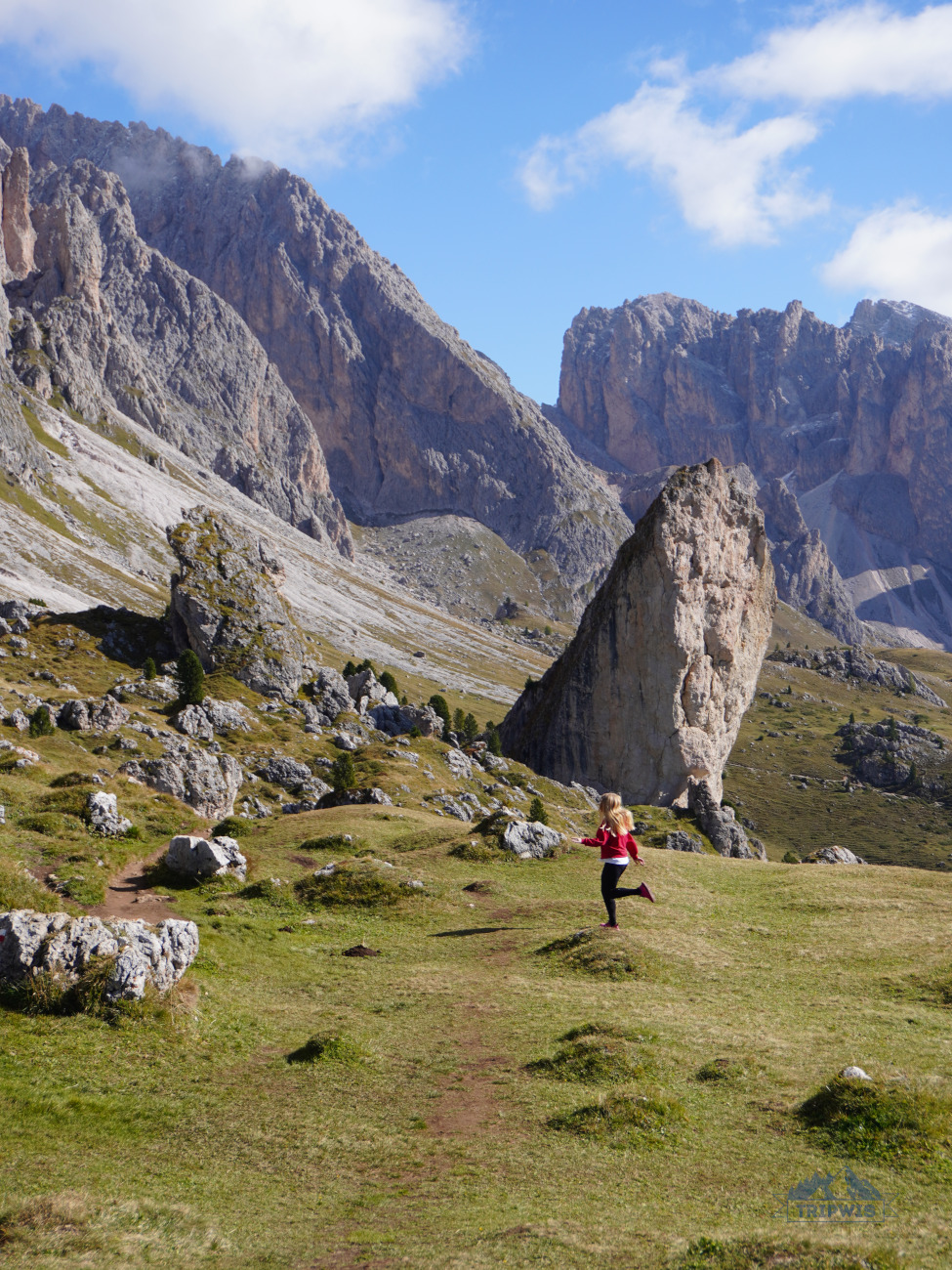 Pieralongia Seceda 2