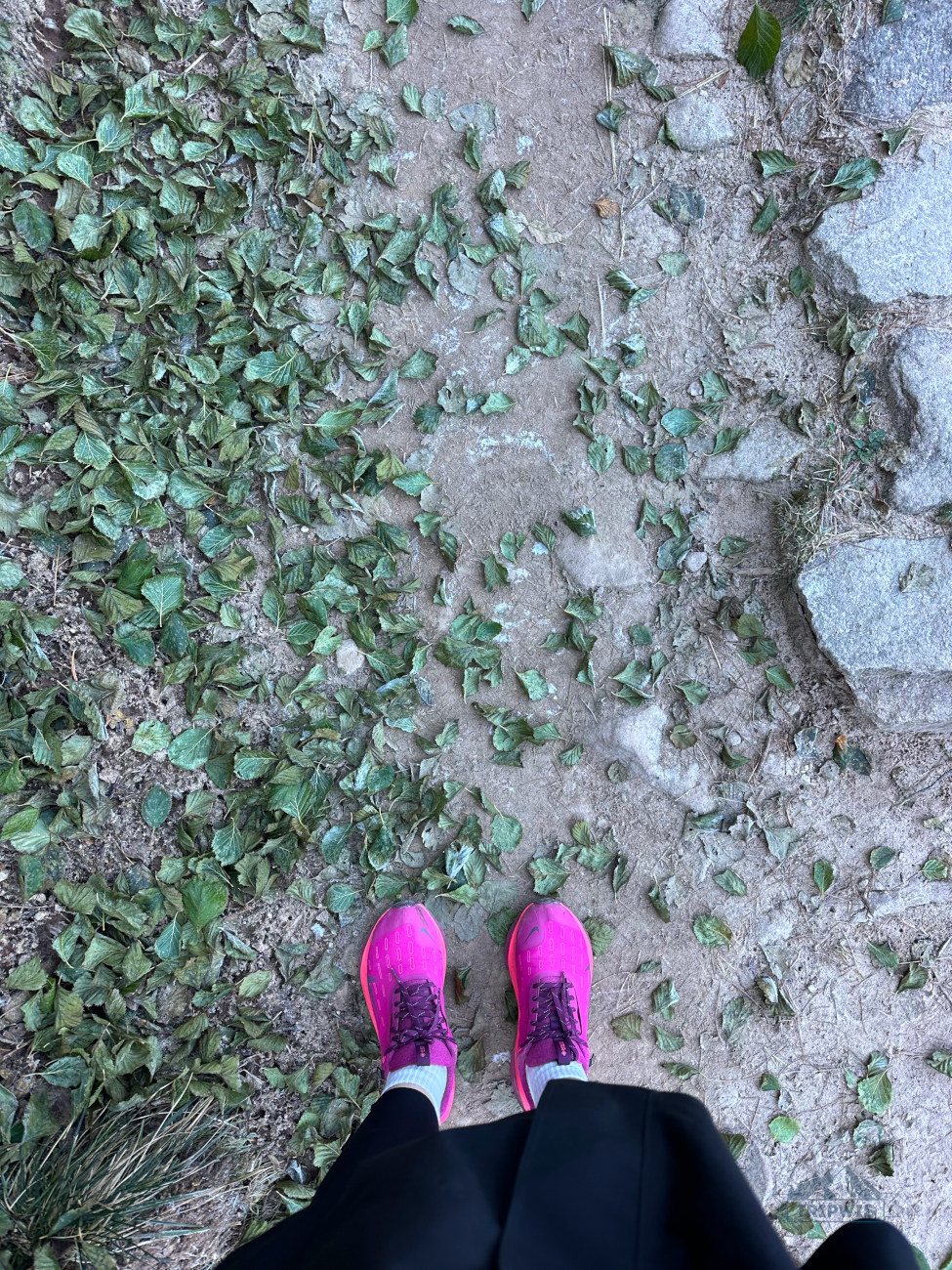 Adolf Munkel in autumn