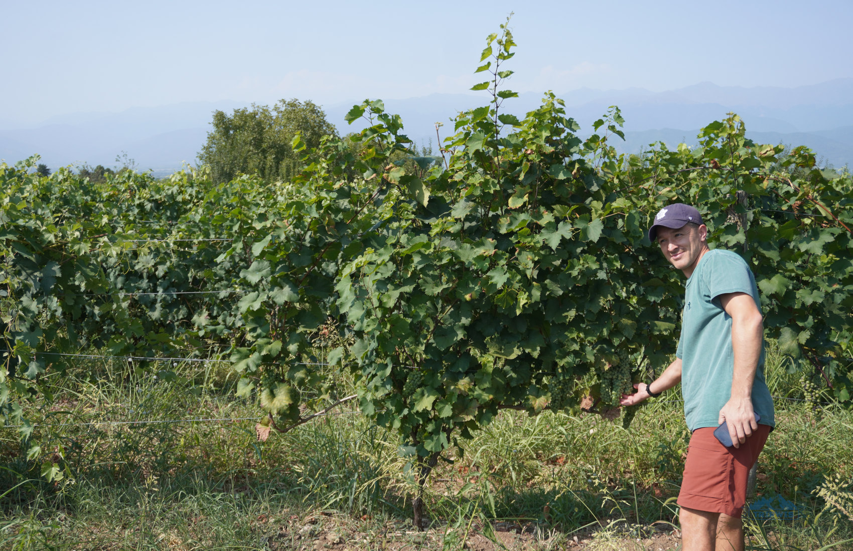 Georgia’s wine regions Kakheti