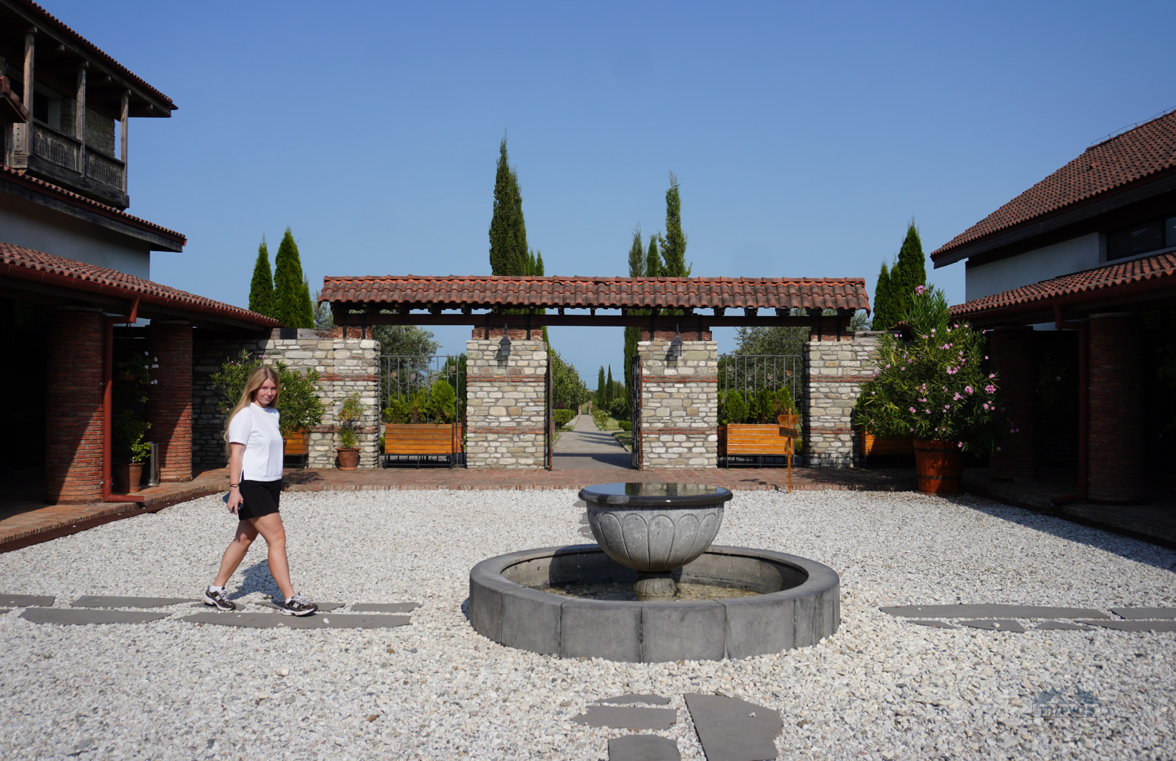 Mosmieri wine in Georgia