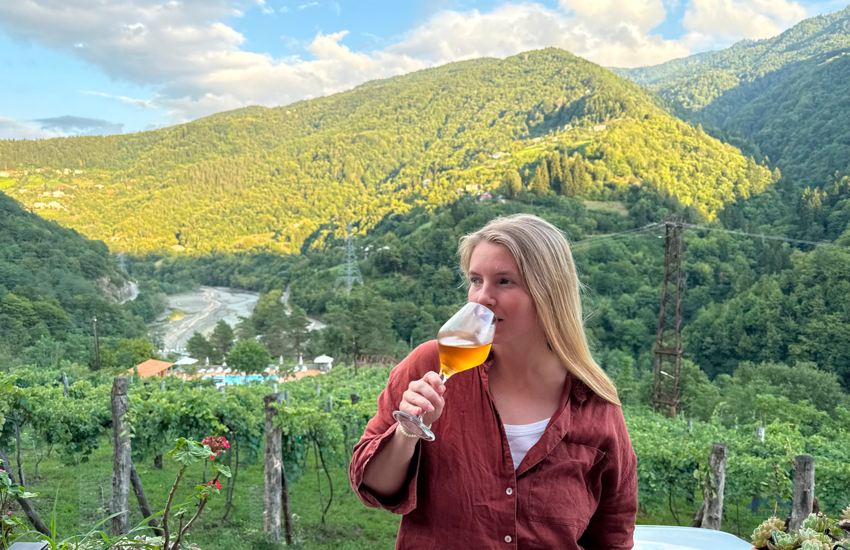 wineries and vineyards in Georgia Batumi