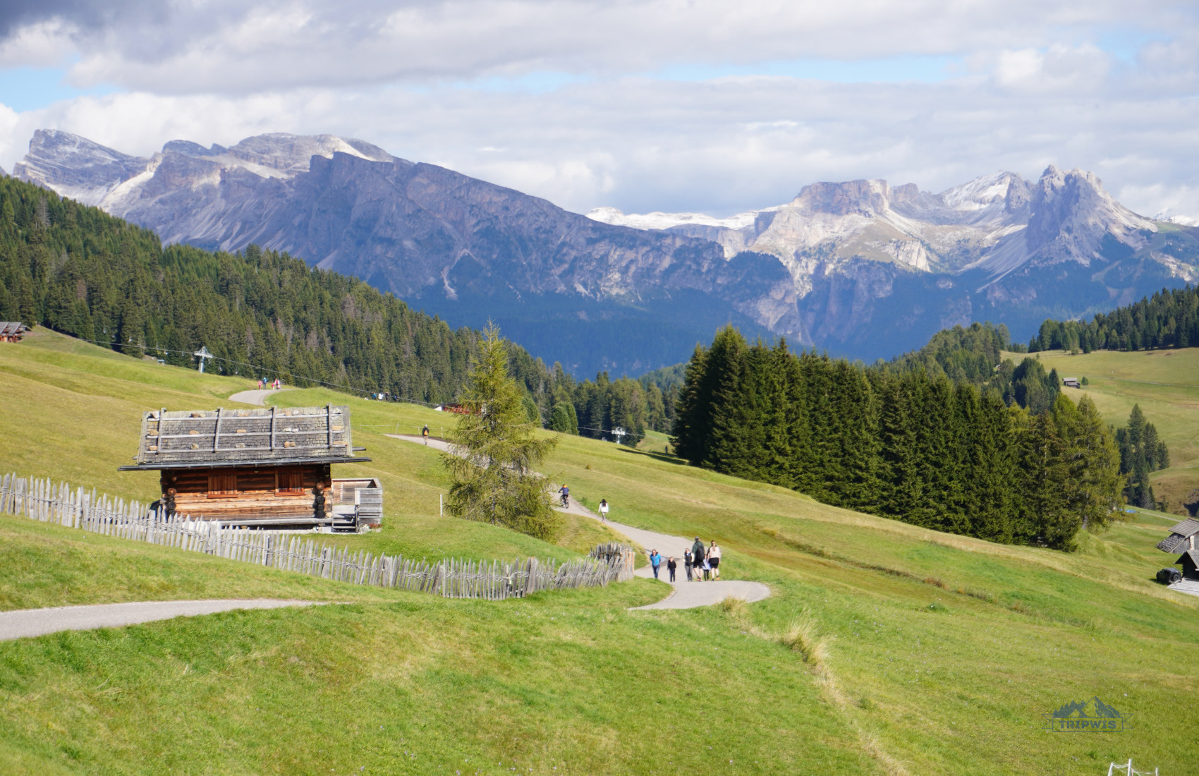 dolomites alpe di siusi 3