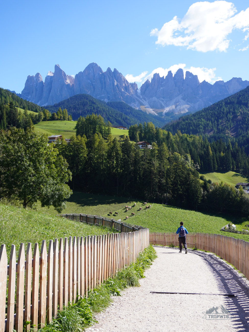 the Dolomites view