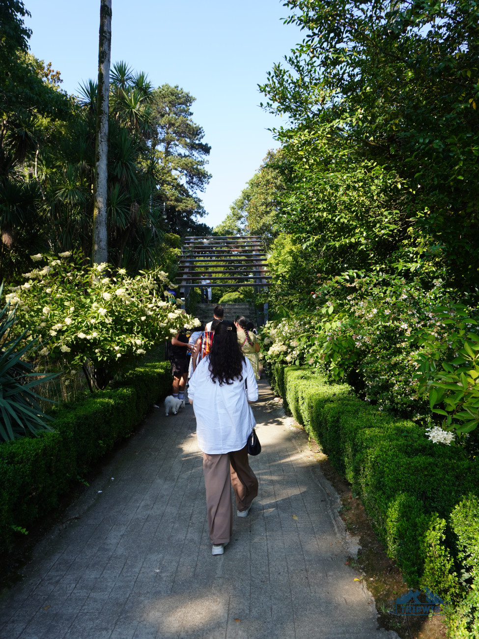Batumi Botanical Garden