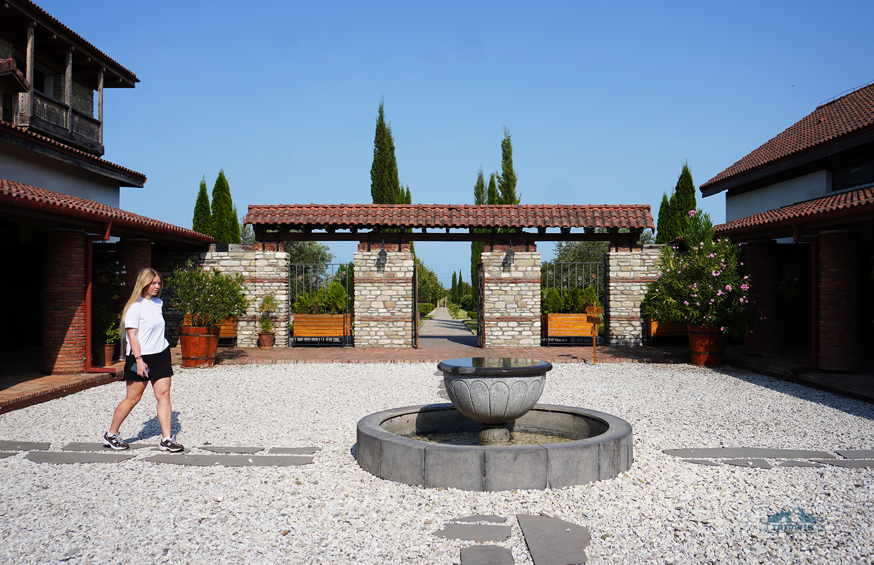 Winery in Georgia